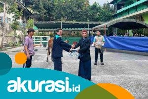 Yayasan Yabis