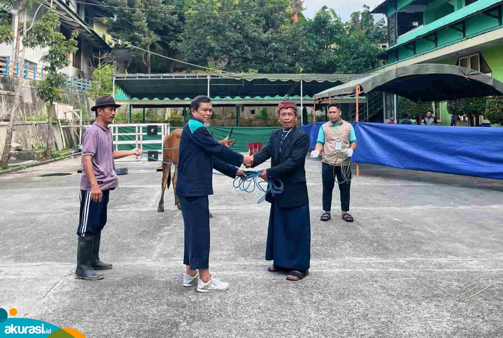 Yayasan Yabis