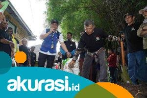 pupuk kaltim