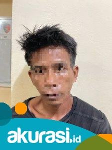 Curi Sawit