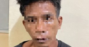 Curi Sawit
