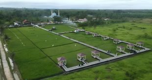 Wisata Sawah