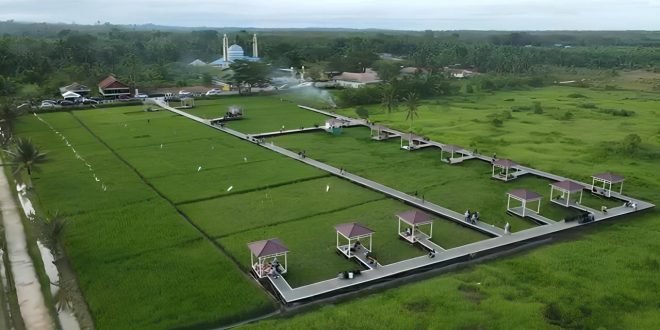 Wisata Sawah