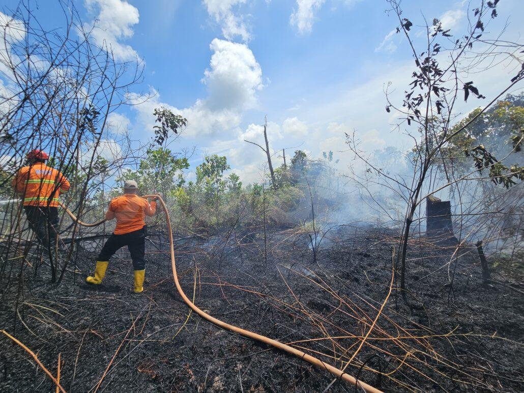 Kebakaran Lahan di Sungai Parit PPU