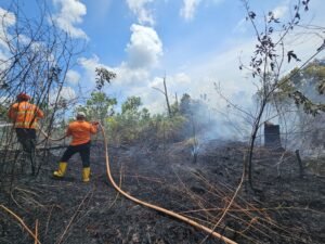 Kebakaran Lahan di Sungai Parit PPU