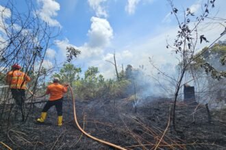 Kebakaran Lahan di Sungai Parit PPU
