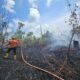 Kebakaran Lahan di Sungai Parit PPU