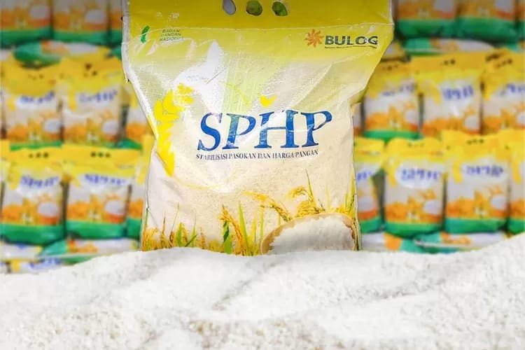 Beras Premium Palsu