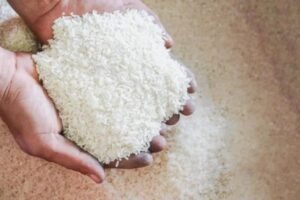 Kenaikan Harga Beras