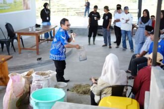 pupuk kaltim