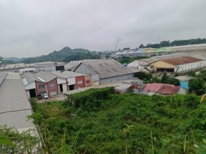 Bukit Pinang