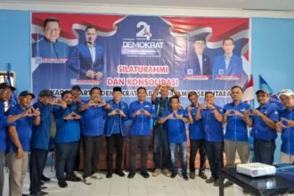 Demokrat PPU