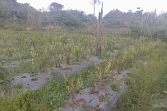 Warga Sempaja Utara