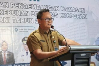 Hilirisasi Sawit