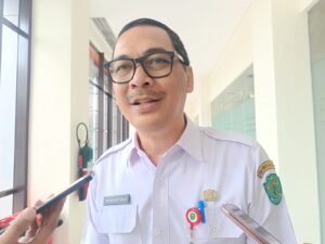 Serangan Siber