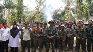 Judi Sabung Ayam di Sotek