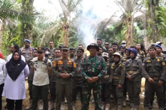 Judi Sabung Ayam di Sotek