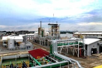 Loker PT Yepeka Usaha Mandiri penempatan di PT Black Bear Resources Indonesia