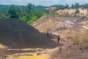 Satgas Otorita IKN Bongkar Tambang dan Perambahan Hutan Ilegal di Kawasan Nusantara
