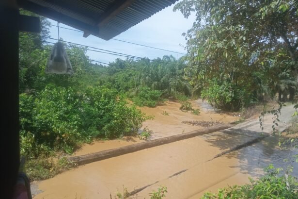 Banjir Serempak di PPU