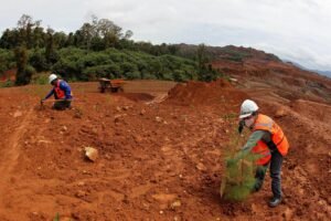 400 Ribu Ha Lahan Tambang