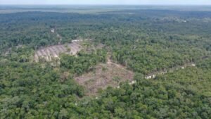 Tambang Masuk Tahura Bukit Soeharto