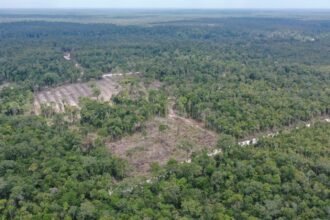 Tambang Masuk Tahura Bukit Soeharto