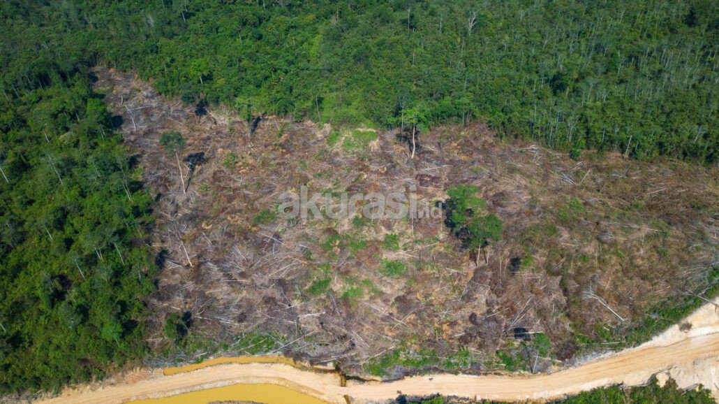 Hutan Lindung Sungai Wain