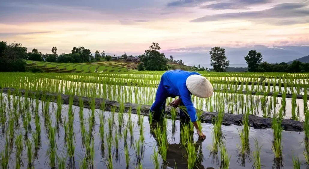 Pertanian dan Perdagangan