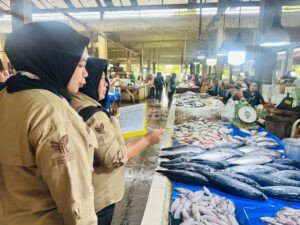 Penjualan Minyak Subsidi dan LPG 3 Kg di PPU