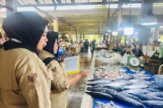 Penjualan Minyak Subsidi dan LPG 3 Kg di PPU