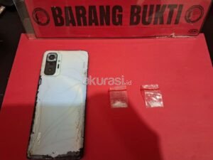 Dua Pria Diciduk Polisi