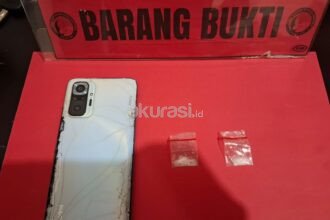 Dua Pria Diciduk Polisi