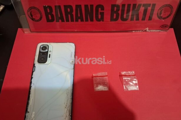 Dua Pria Diciduk Polisi