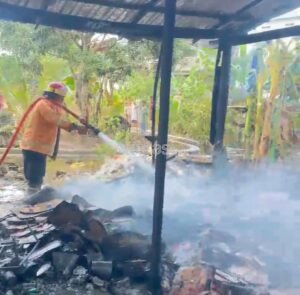 Gudang Kardus di Waru