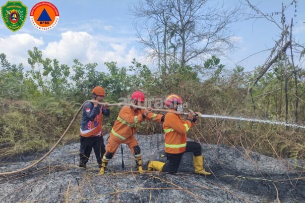 Karhutla di Sungai Parit