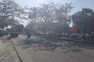 Jalur Padat Tanpa ZoSS