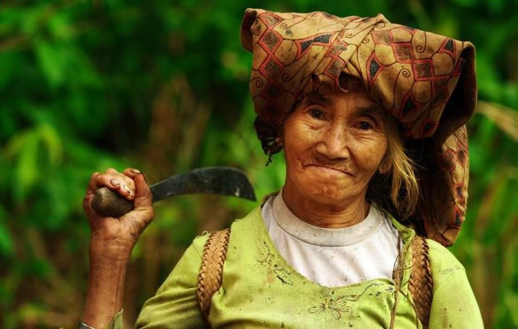 Suku Paser, Masyarakat Adat Kalimantan Timur