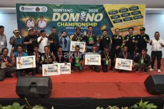 Domino Championship 2026