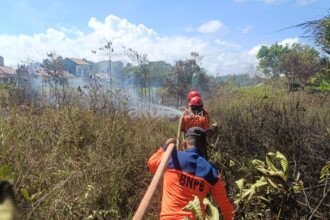 Kantor Kecamatan Penajam Karhutla