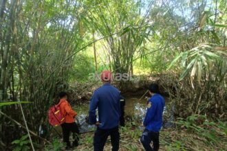 Penyadap Karet di Buluminung