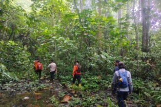 Warga Telemow Hilang di Hutan PT ITCI