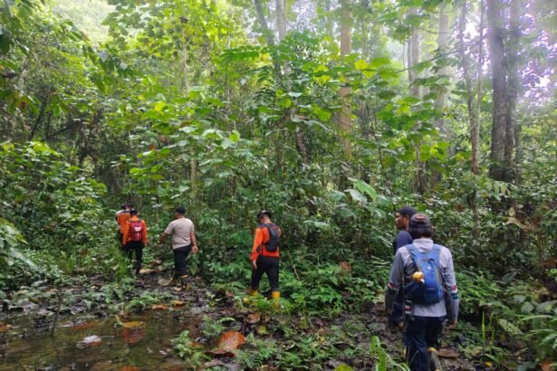 Warga Telemow Hilang di Hutan PT ITCI