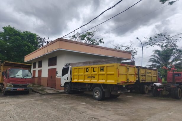 Armada DLH PPU