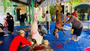 Yayasan Yabis