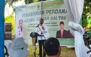 Pencemaran Batu Bara