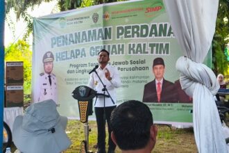 Pencemaran Batu Bara
