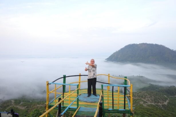 Gunung Embun, Wisata Gunung di Kalimantan Timur dengan Sensasi Negeri di Atas Awan