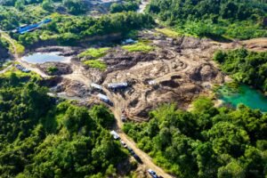 IKN Tanam 1.000 Pohon di Lahan Bekas Tambang Ilegal Tahura Bukit Soeharto