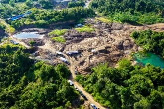 IKN Tanam 1.000 Pohon di Lahan Bekas Tambang Ilegal Tahura Bukit Soeharto